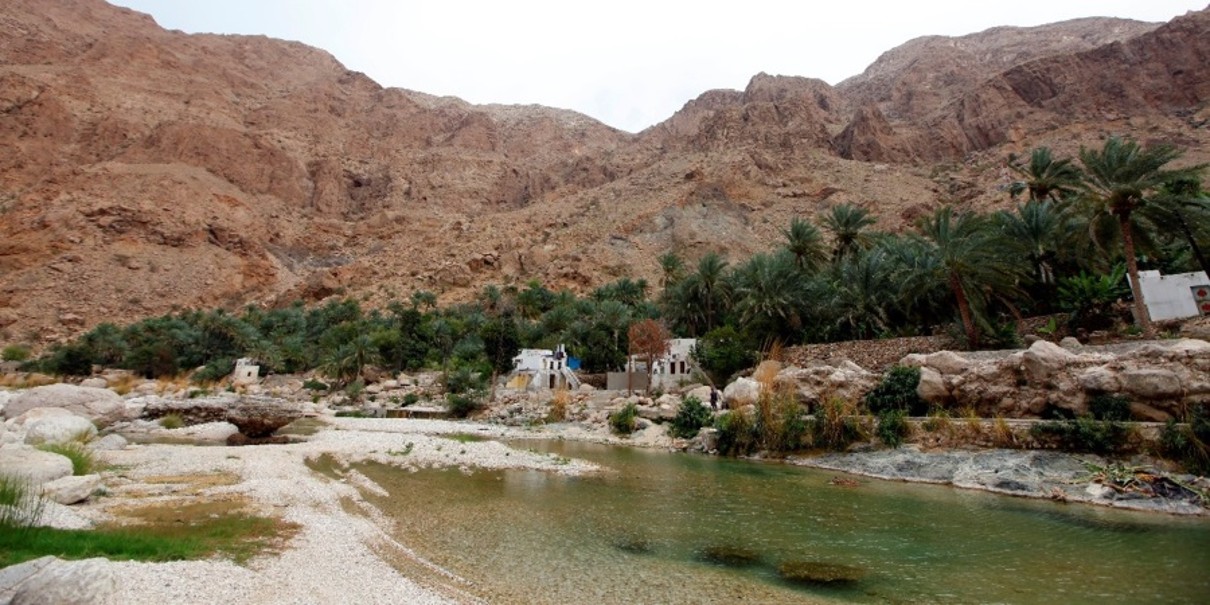 Wadi Al Arbeieen mit Palmen und einer kargen Berglandschaft im Hintergrund. 