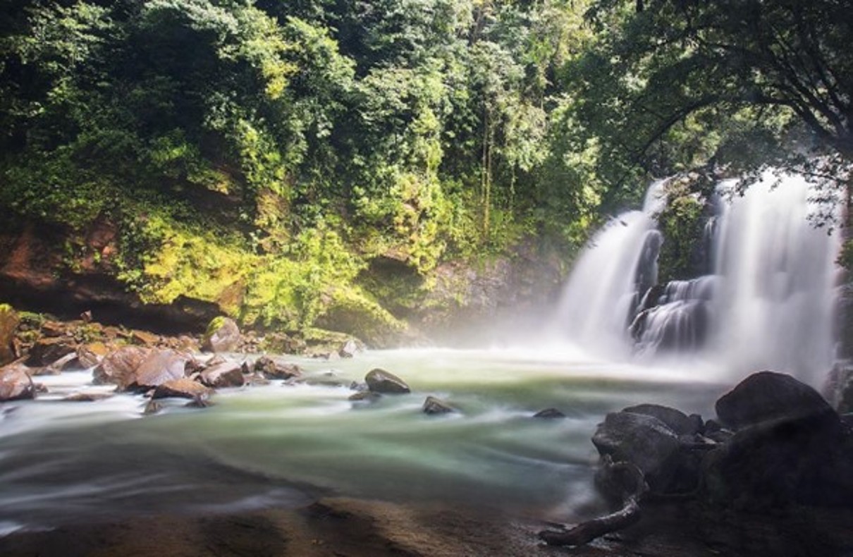 Ein Wasserfall in einem Nebelwald in Costa Rica, umgeben von Bäumen und Pflanzen